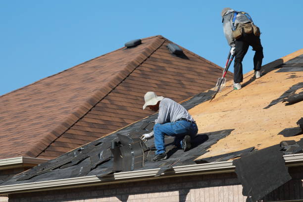 Best Roof Moss and Algae Removal  in Oroville East, CA